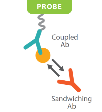 epitope_binning