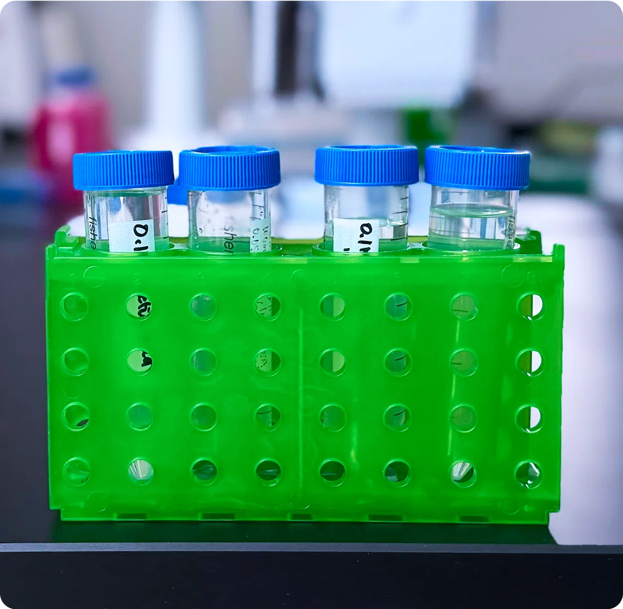 a close-up of a basket of test tubes