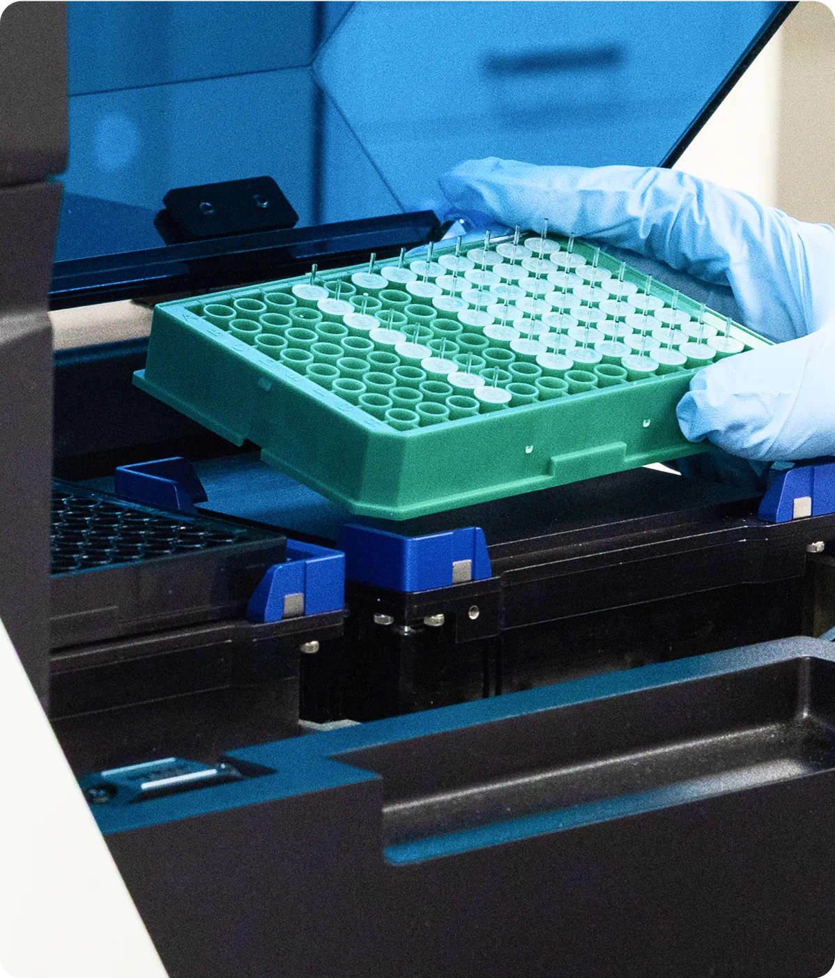 a gloved hand holding a tray of test tubes