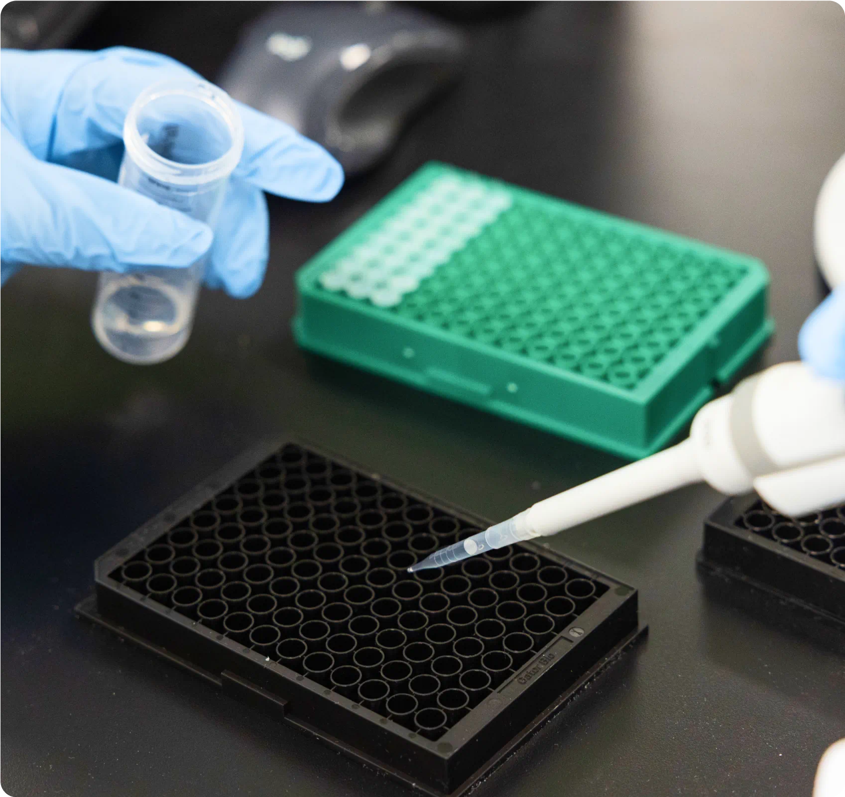 close-up of lab work being done