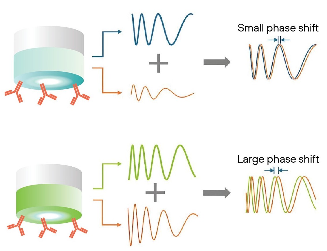Schematic comparing standard and XT biosensors, showing small vs. large phase shift in BLI signal
