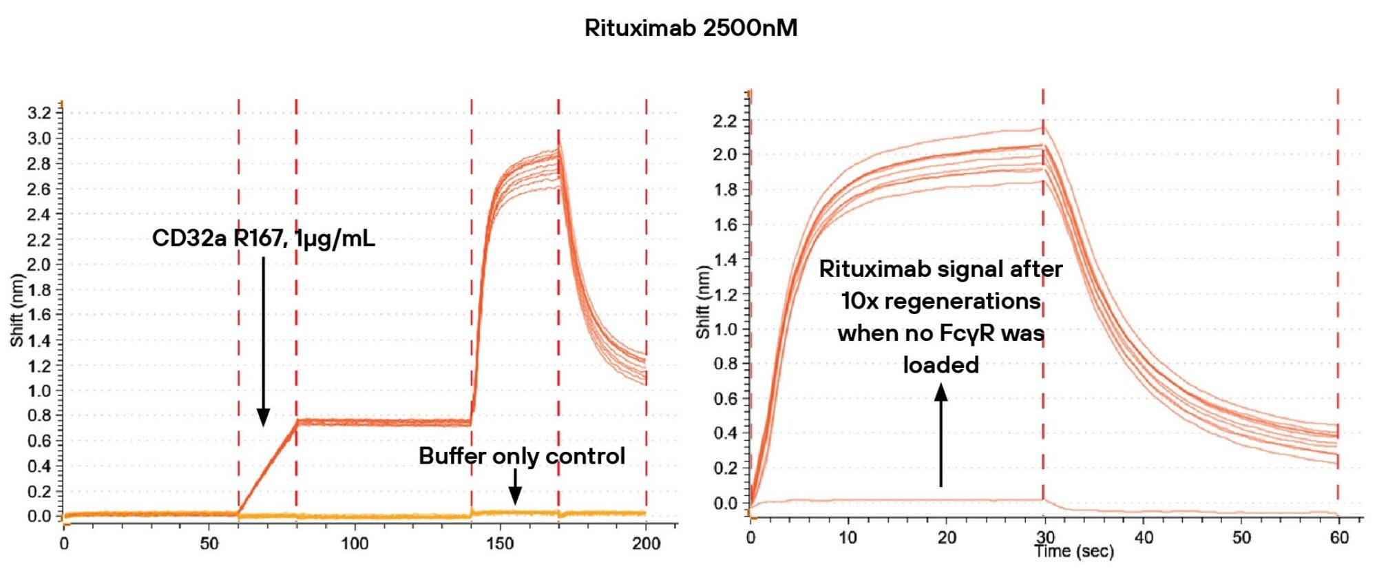 BLI sensorgrams showing complete Fc receptor removal after 10 regeneration cycles on HIS XT biosensors